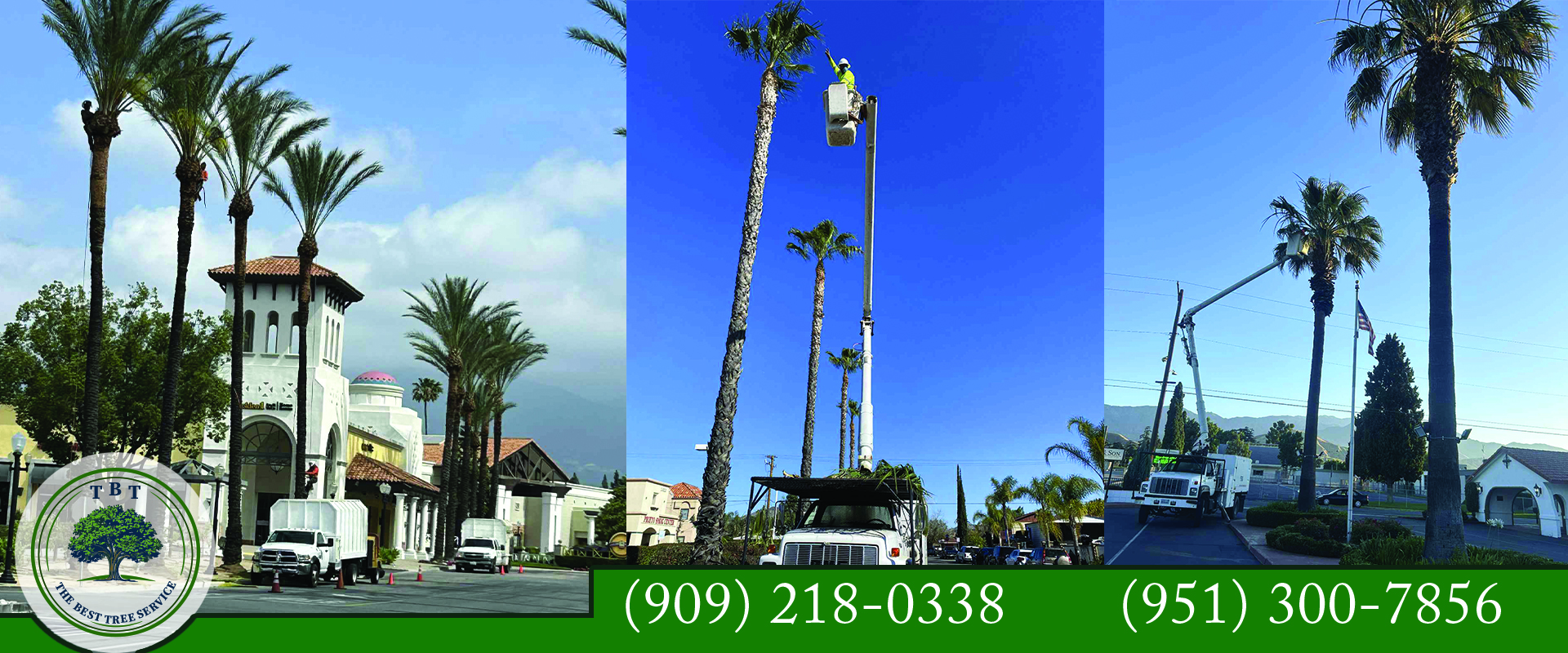 Landscaping and lawn solutions in Riverside CA